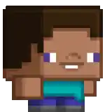 a pixel art of a minecraft character with a blue shirt on
