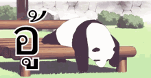 แพนด้า อู้ ขี้เกียจ GIF - Panda Lazy Sleepy GIFs