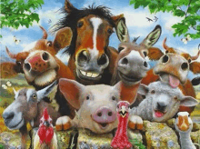 Our Animals GIF - Our Animals GIFs