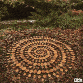 a circular pattern of leaves on the ground with pixiz written on the bottom right