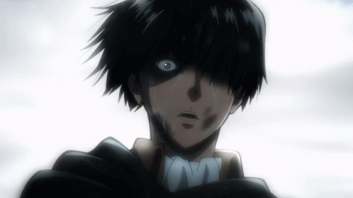 Aot GIF - Aot Levi Attack On - Discover & Share GIFs