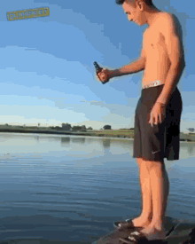 Beer Fish GIF - Beer Fish Party GIFs