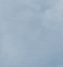 a blurred image of a person 's head with a cloudy sky in the background .