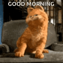 Garfield Good Morning GIF - Garfield Good Morning Dancing GIFs