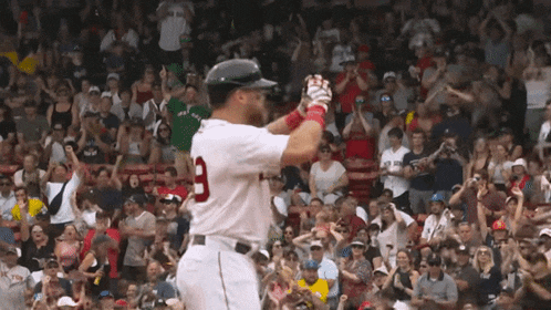 Boston Red GIF - Boston Red Sox - Discover & Share GIFs