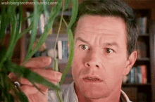Mark Wahlberg The Happening GIF