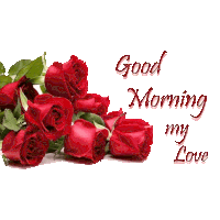 a bunch of red roses with the words " good morning my love " below them