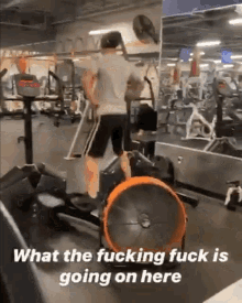 Workout Gym GIF - Workout Gym What The Fuck Is Going On Here GIFs