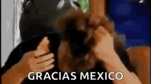 Luis Miguel Cantante Mexicano GIF - Luis Miguel Cantante Mexicano Thanks Mexica GIFs