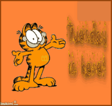 Garfield Welcome GIF - Garfield Welcome Tuesday Is Here GIFs