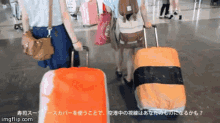 Sushi Luggage Travel GIF - Sushi Luggage Travel Cute GIFs