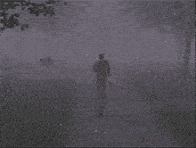 a silhouette of a man walking in a field with trees in the background