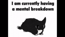 a black and white cat with the words `` i am currently having a mental breakdown '' written above it .