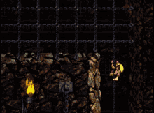 a video game screen shows a bunch of bees flying around a fence