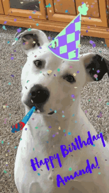 Happy Birthday Hbd GIF - Happy Birthday Hbd Dog GIFs