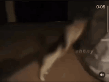 Night Bedtime GIF - Night Bedtime Cat Is Going To Sleep GIFs