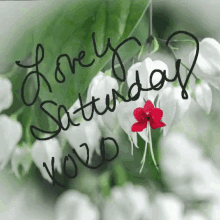Lovely Saturday Greetings GIF - Lovely Saturday Greetings Xoxo GIFs