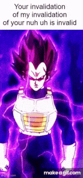 a picture of vegeta from dragon ball z with a caption that says your invalidation of my invalidation of your nuh uh is invalid