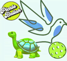 Turtle Turtledove GIF - Turtle Turtledove Pickle GIFs