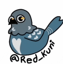 a drawing of a pigeon with the name red_kuni on the bottom