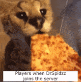 Drspidzz Pizza GIF - Drspidzz Pizza Area-47 GIFs