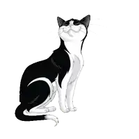 a black and white cat is laying down and smiling with its eyes closed