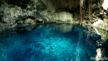 Cave Yucatan GIF - Cave Yucatan Ambient GIFs