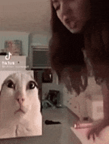 Nepunator Cat GIF - Nepunator Cat Slap GIFs