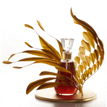 Cognac Fleur GIF - Cognac Fleur GIFs