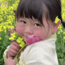 a little girl is smelling a pink flower in a field of flowers .