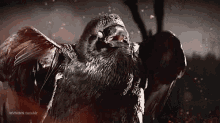 Got Game Of Thrones GIF - Got Game Of Thrones Raven GIFs