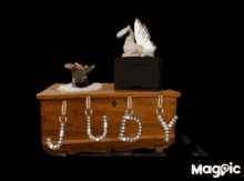 Judy GIF - Judy GIFs