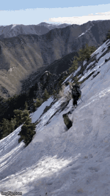 Falling Ski GIF - Falling Ski Fail GIFs