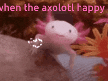 axolotl when the axolotl is super happy