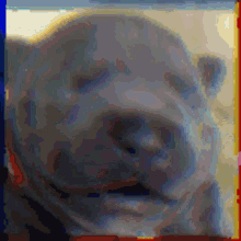 Glitching Dogo GIF - Glitching Dogo GIFs