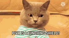 Pivx Buy Buy Pivx GIF - Pivx Buy Buy Pivx Cat Buying Pivx GIFs
