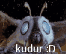 Mothra Kudur GIF - Mothra Kudur Xd GIFs