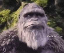 King Kong Monkey GIF - King Kong Monkey GIFs