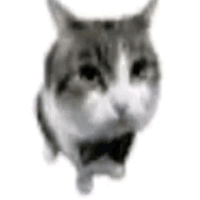 a black and white photo of a cat wearing a bow tie on a white background .
