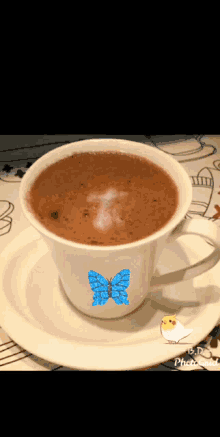 Coffee For You Butterfly GIF - Coffee For You Butterfly Bird GIFs