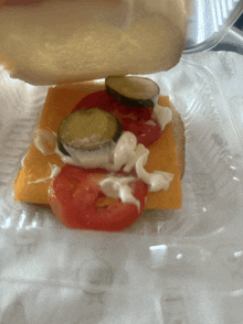 a close up of a sandwich with cheese tomatoes and pickles