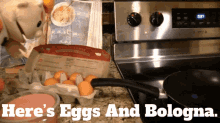Sml Junior GIF - Sml Junior Heres Eggs And Bologna GIFs