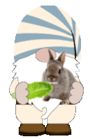 My Pet Gnome Sticker - My Pet Gnome Stickers