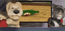 a dog and a cat are sitting in front of a television screen