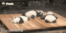 滚滚，熊猫，团子，可爱，萌 GIF - Cute Panda Gun Gun GIFs