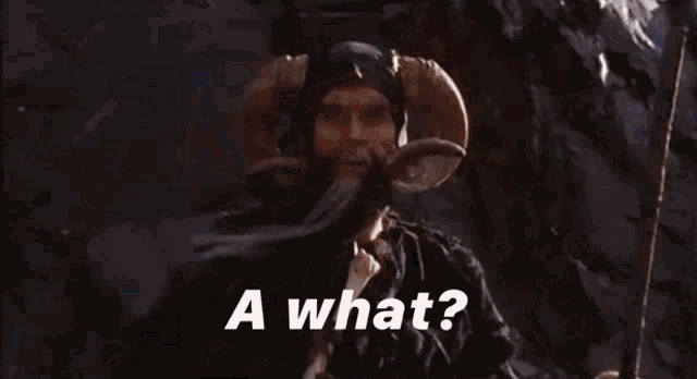 Grail Monty Python GIF - Grail Monty Python Monty Python And The Holy Grail  - Discover & Share GIFs