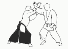 Fight Karate GIF - Fight Karate Knockout GIFs