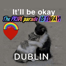 two cats hugging with the words it 'll be okay the pride parade is today dublin on the bottom
