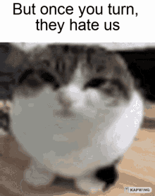 But Once You Turn They Hate Us Enemy GIF - But Once You Turn They Hate Us Enemy GIFs