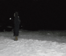 a person standing in the snow at night